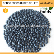 Organic Vegetable Seeds Like Black Kidney Beans